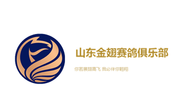 [ 若依 ]